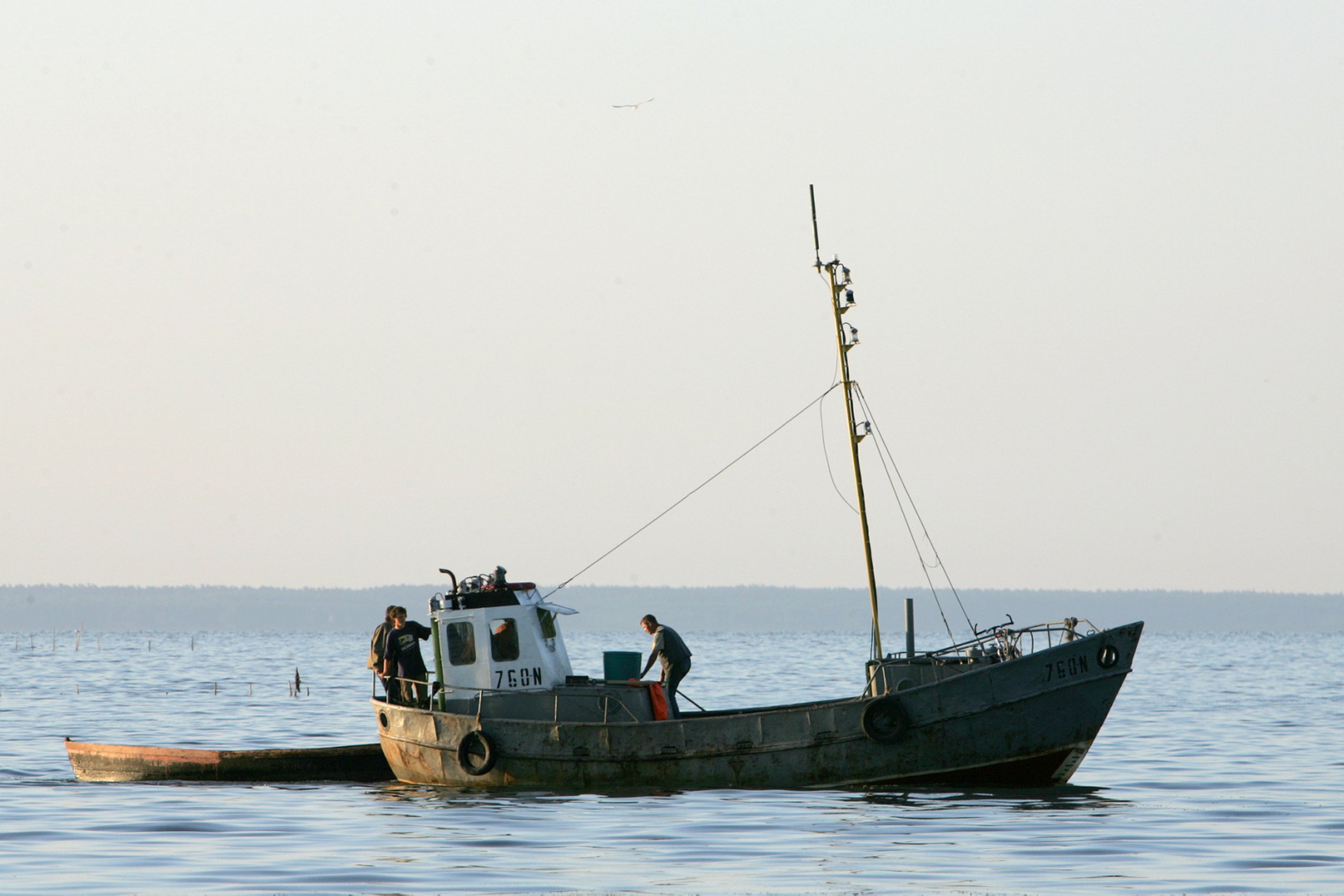 Iliustracija