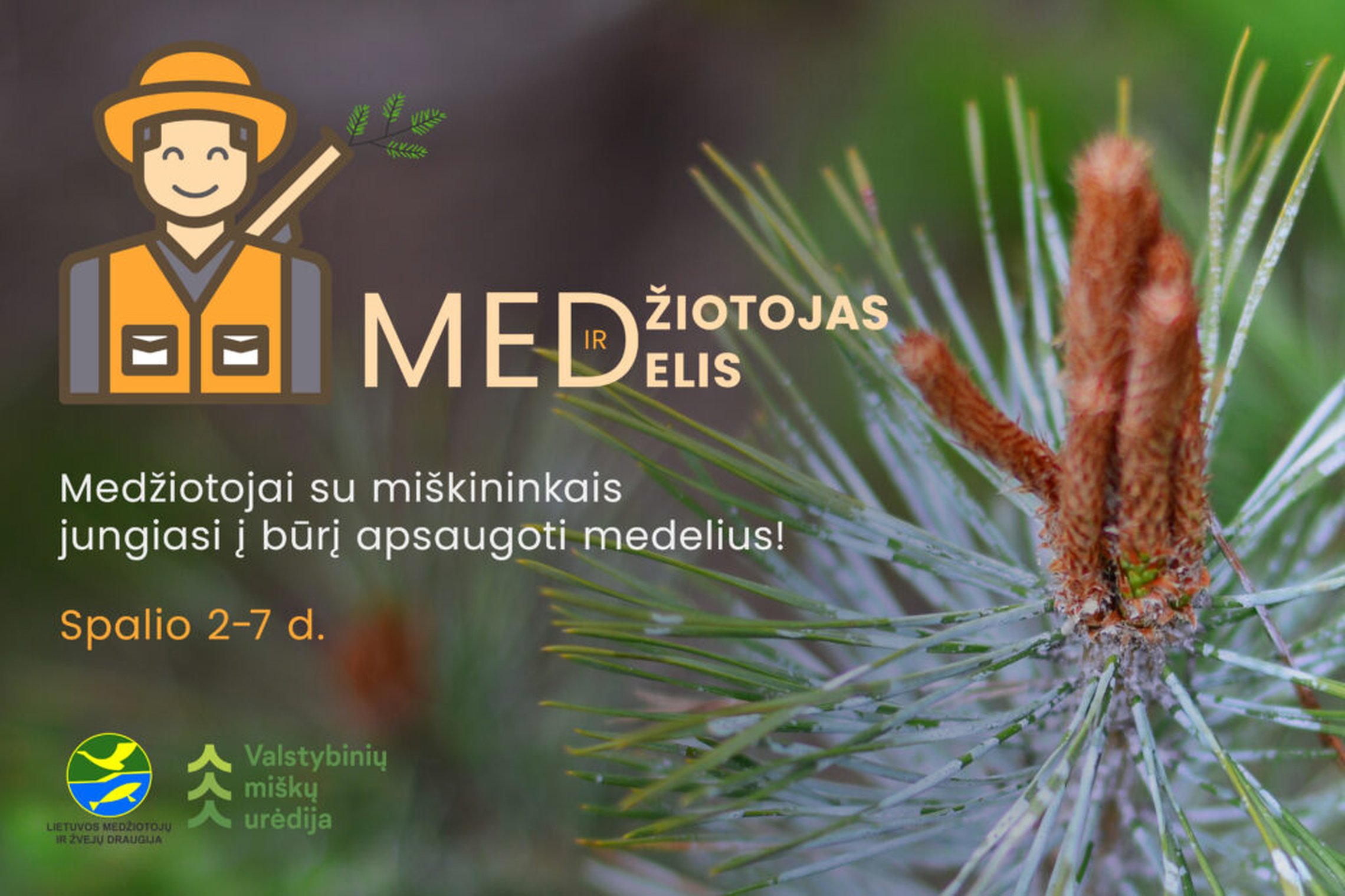 Iliustracija