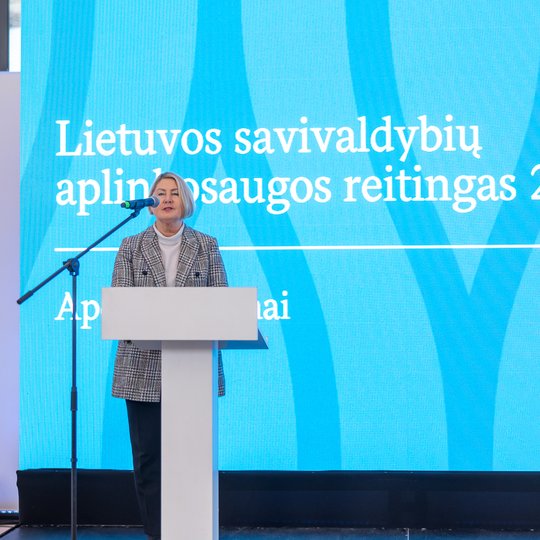 Iliustracija
