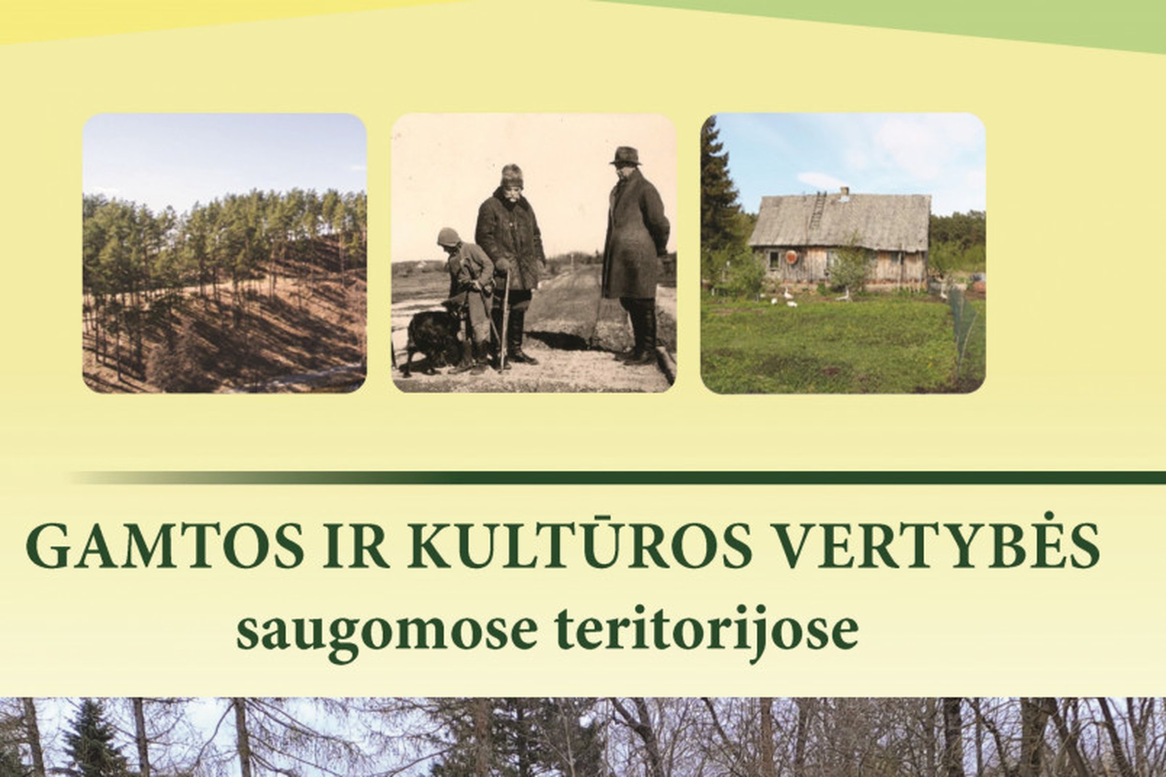 Iliustracija
