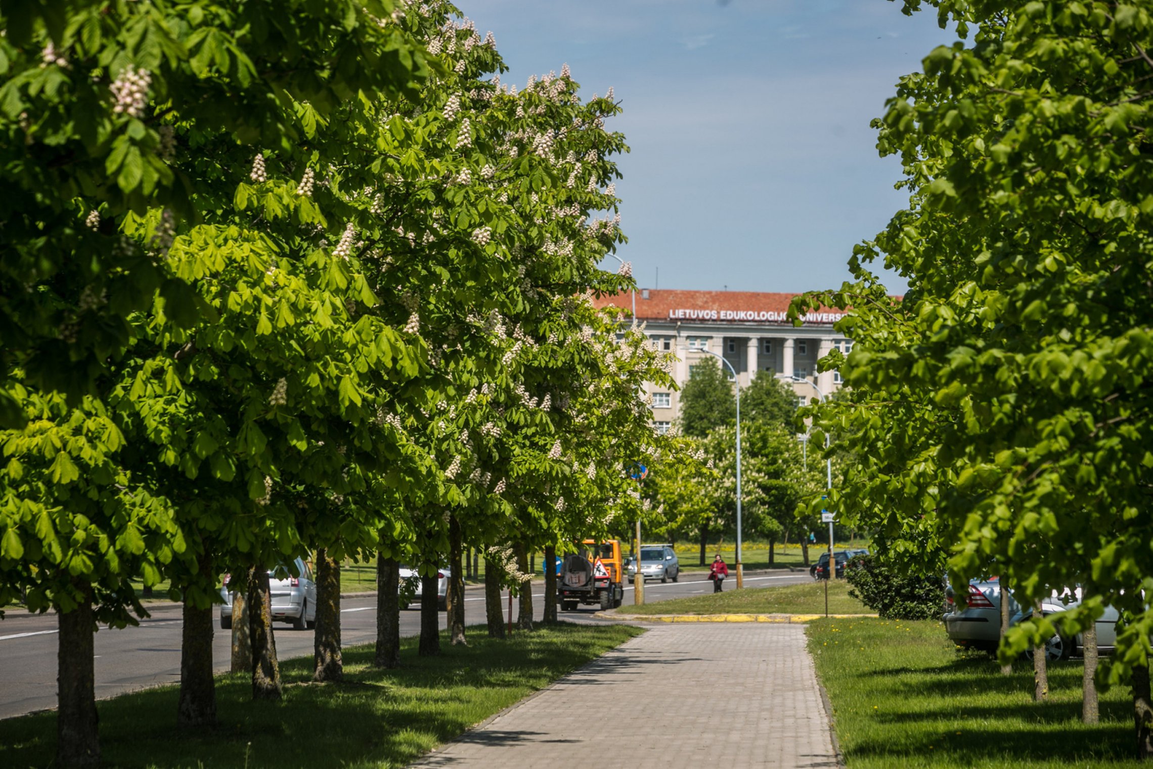 Iliustracija
