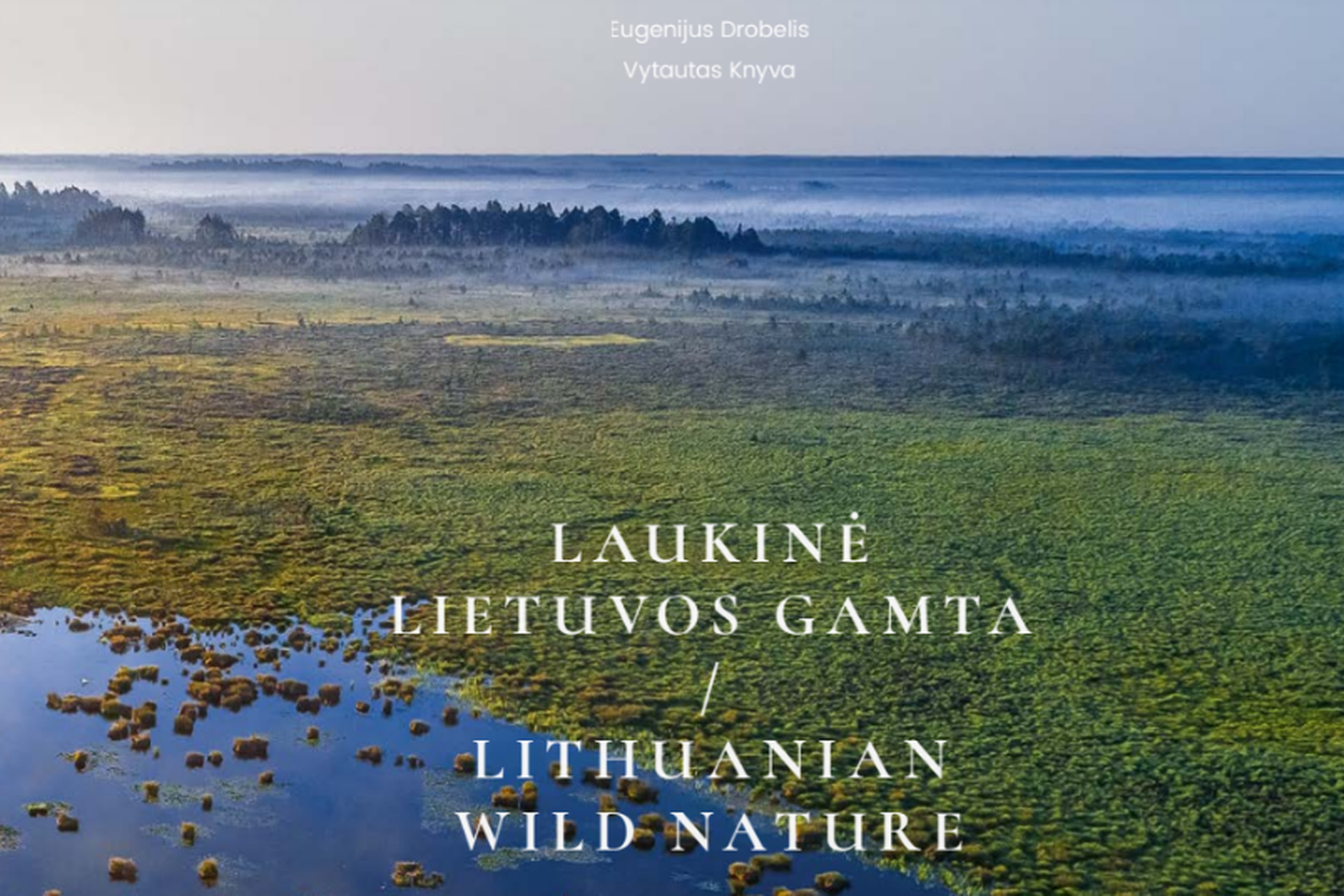 Iliustracija