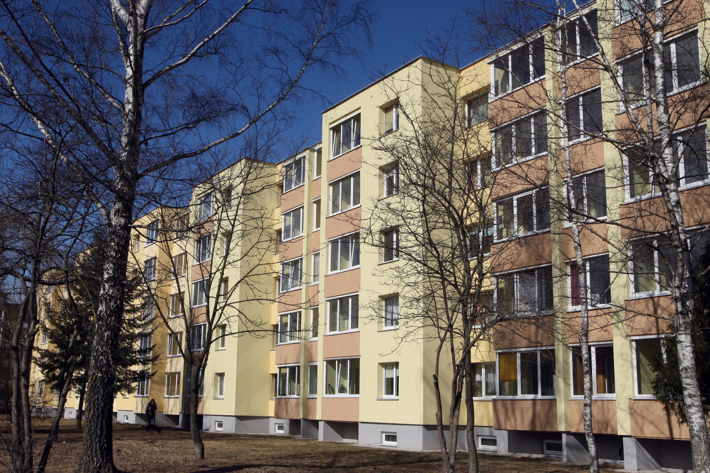 Iliustracija