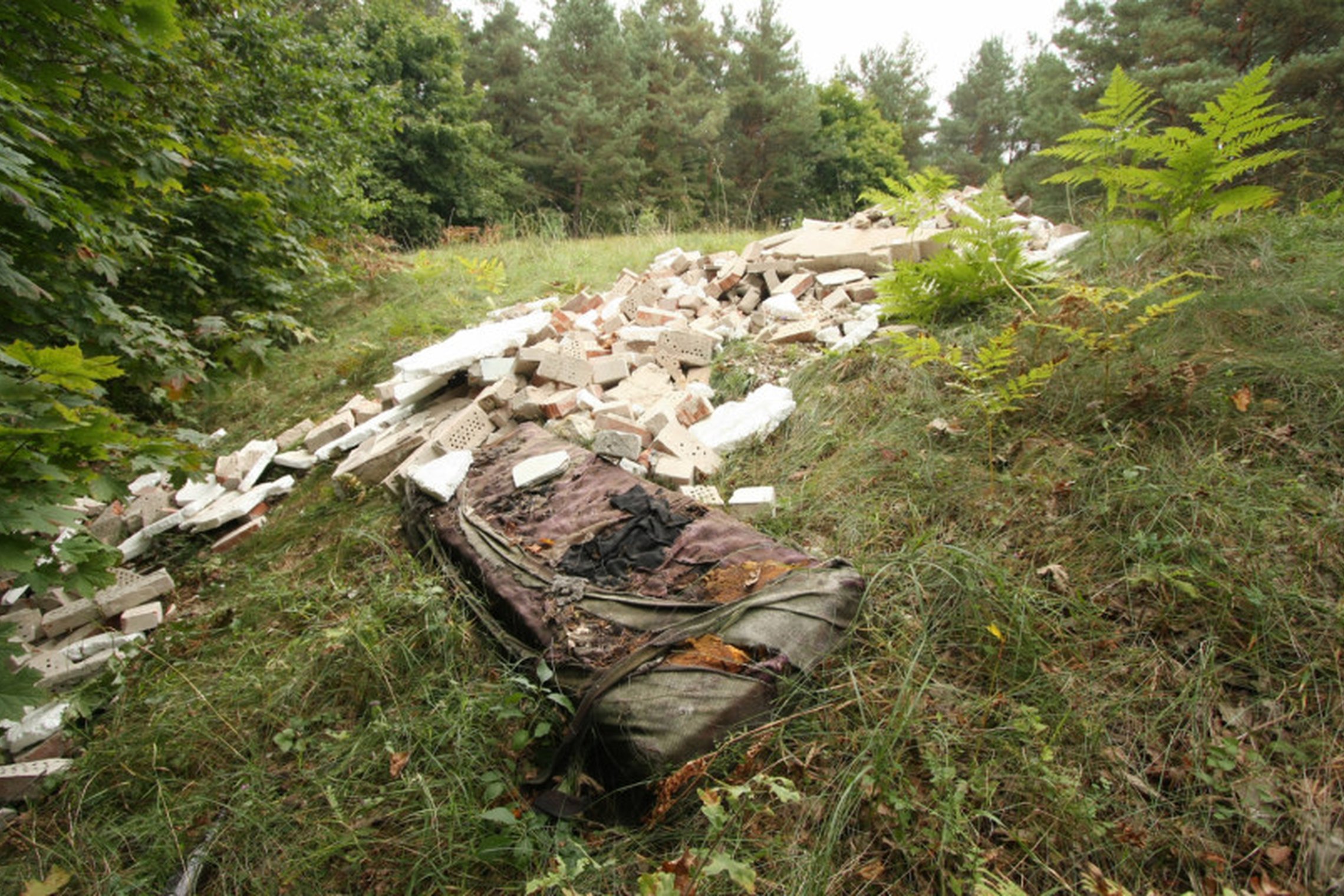 Iliustracija