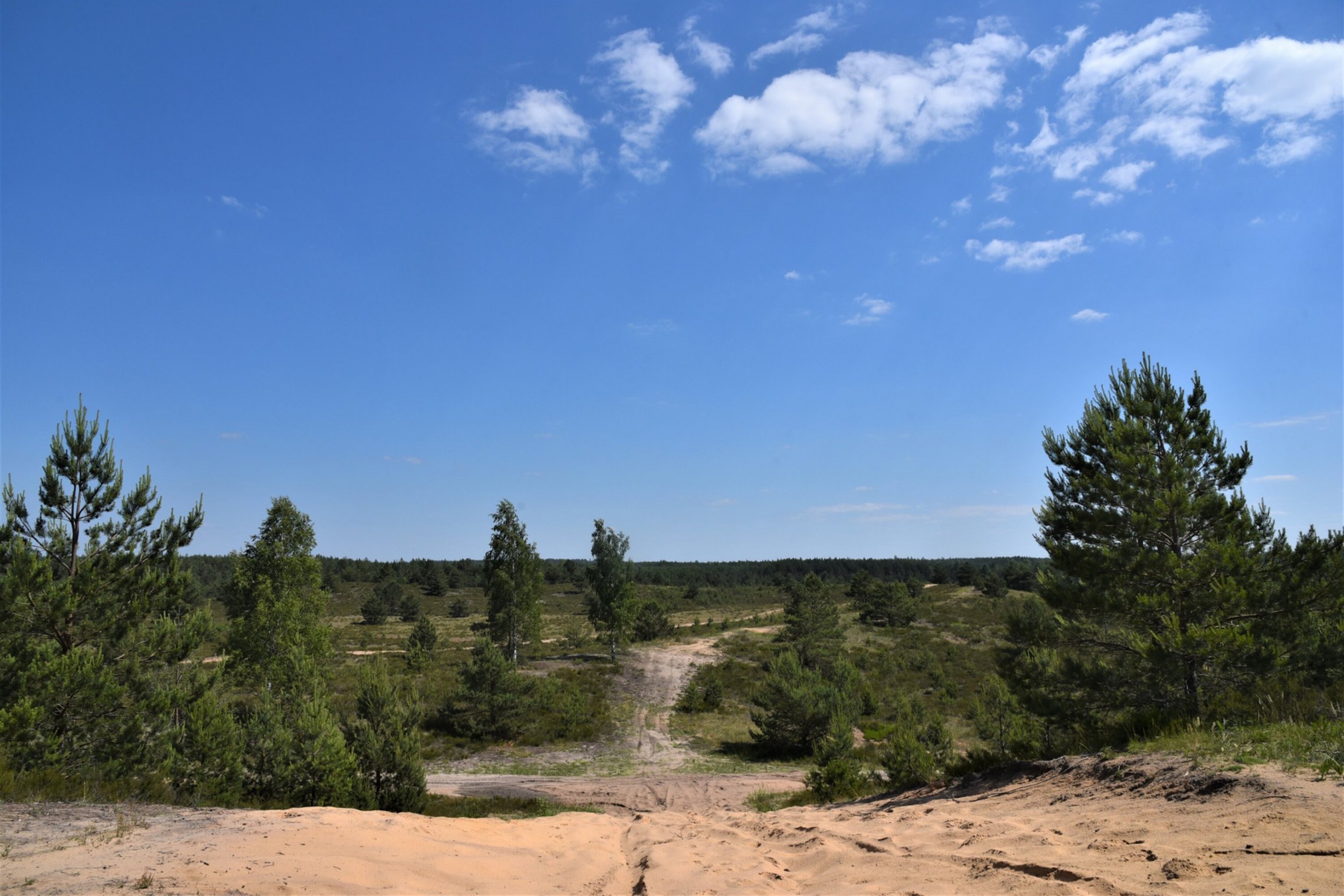 Iliustracija