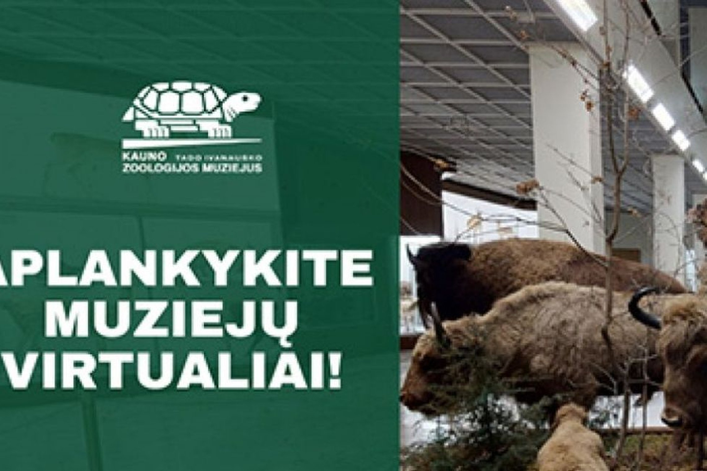 Iliustracija