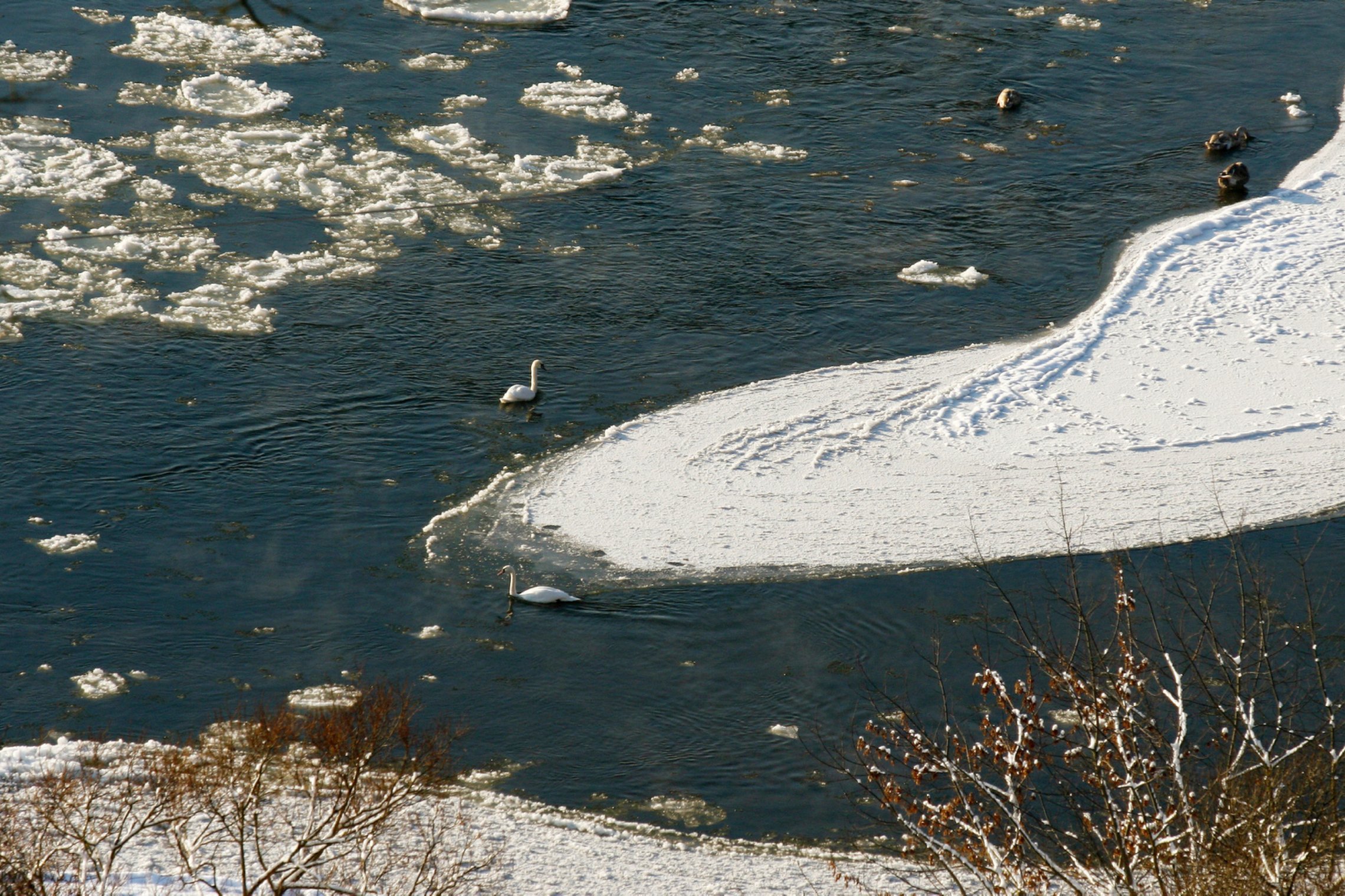 Iliustracija