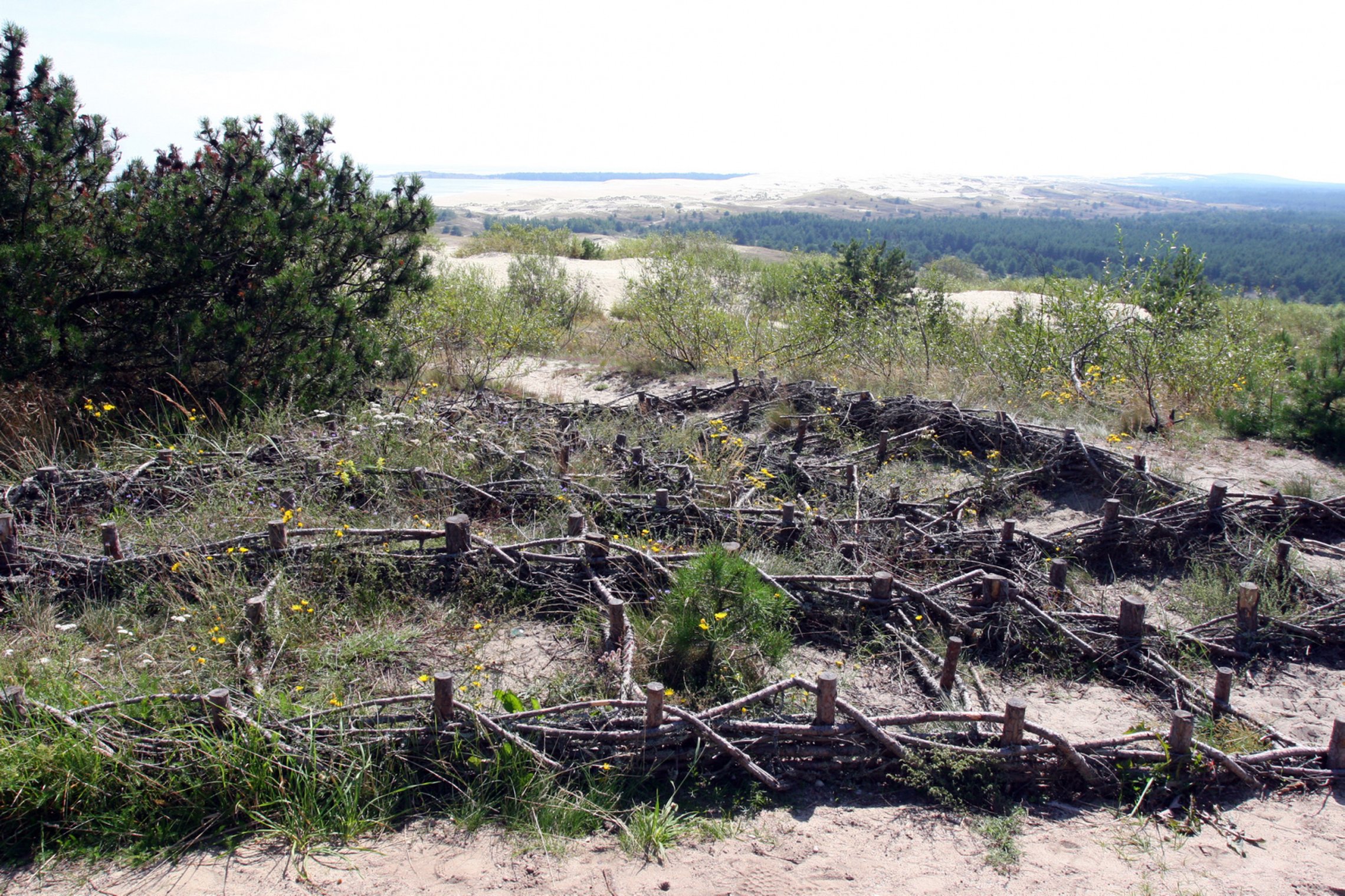 Iliustracija