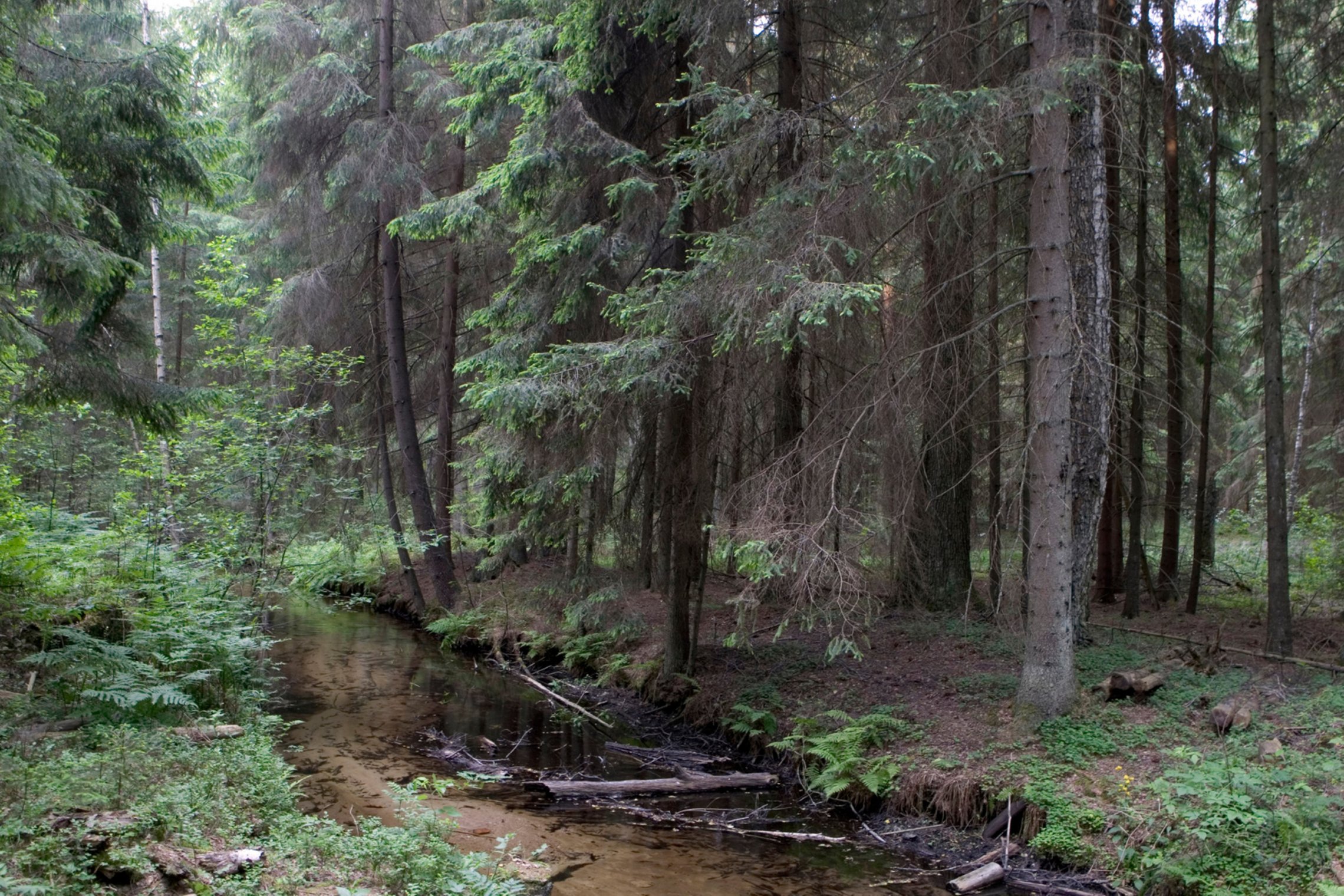 Iliustracija