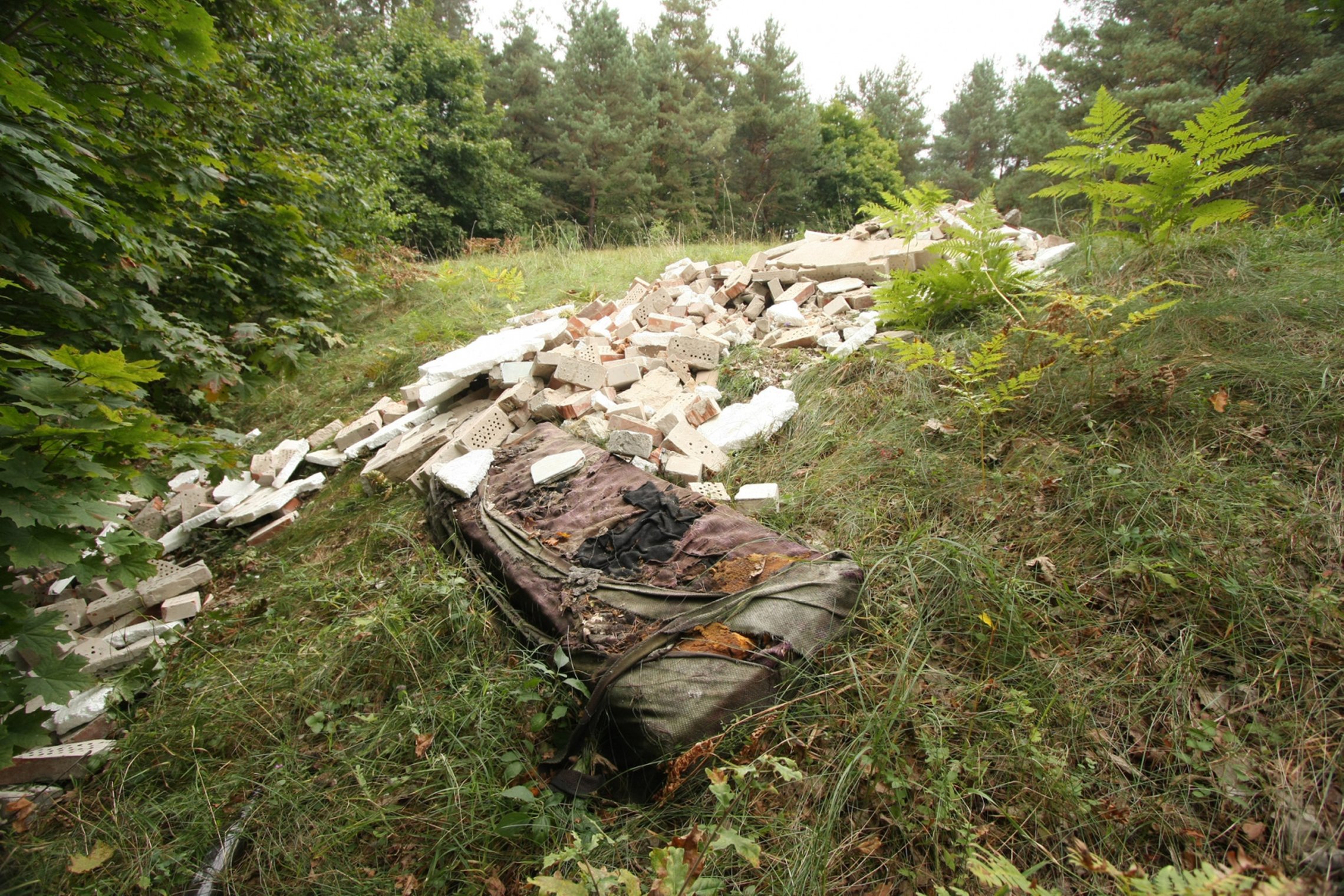 Iliustracija