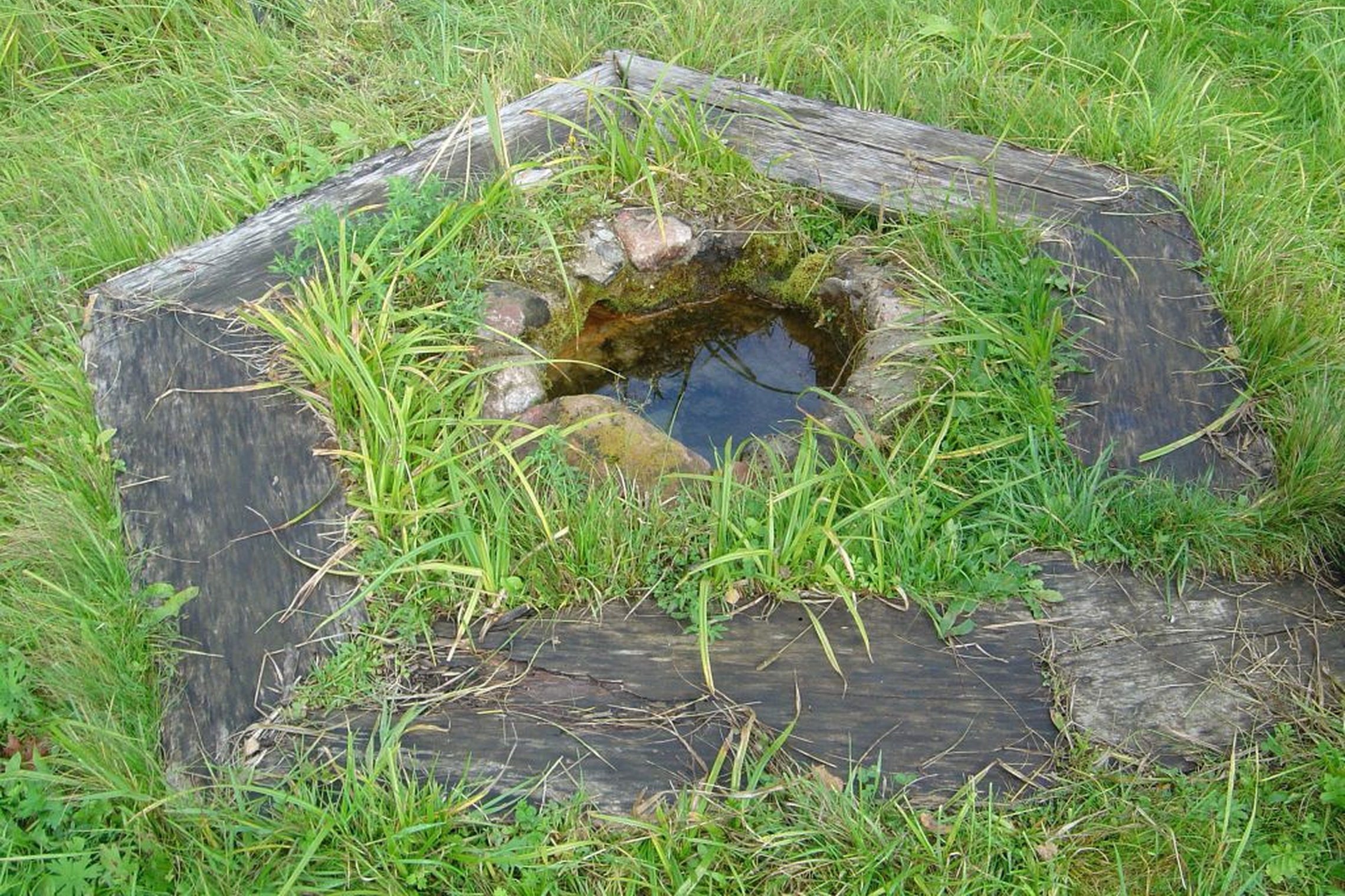 Iliustracija