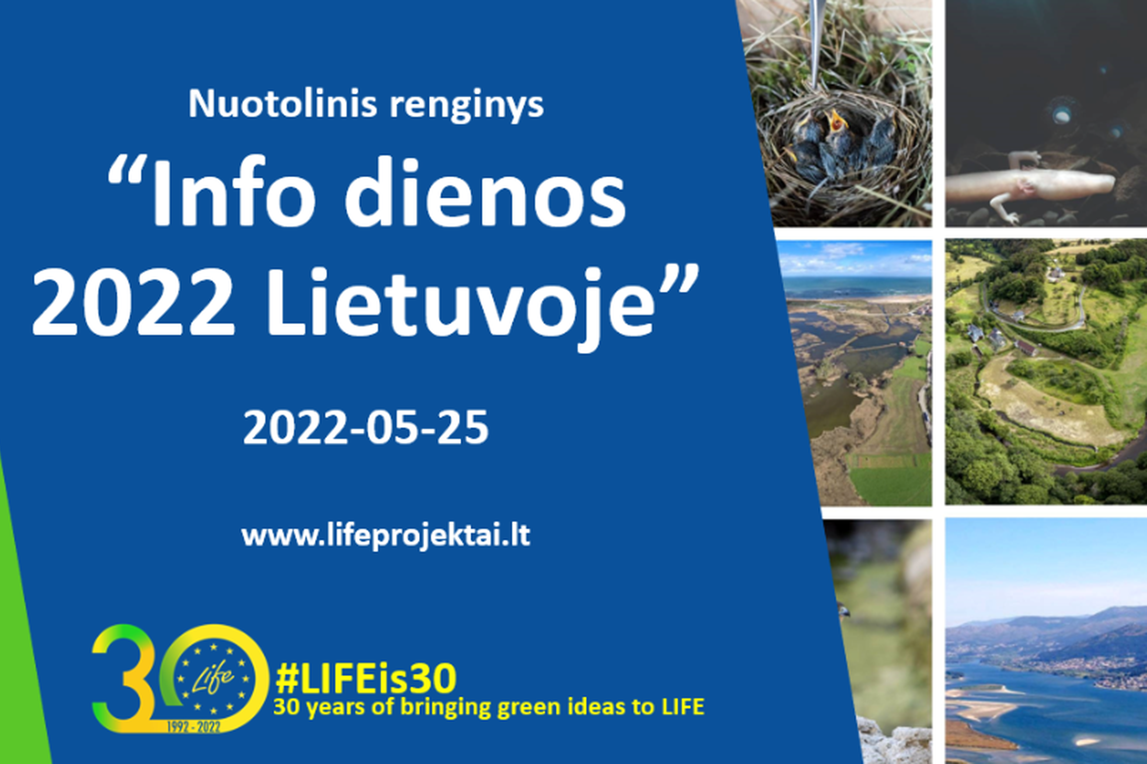 Iliustracija