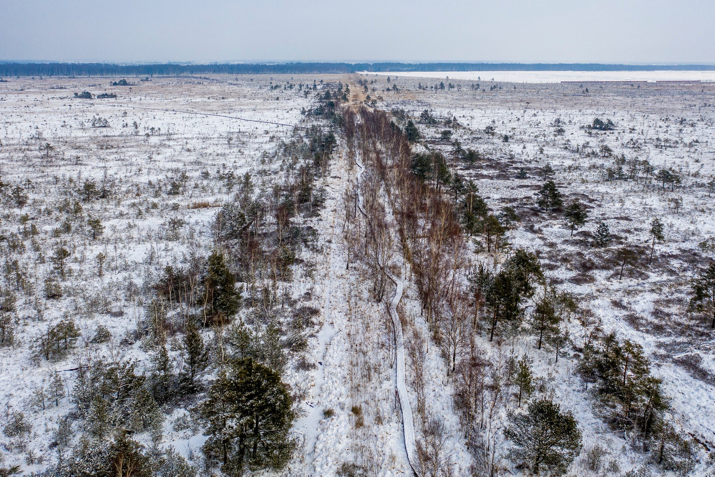 Iliustracija