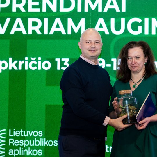 Iliustracija