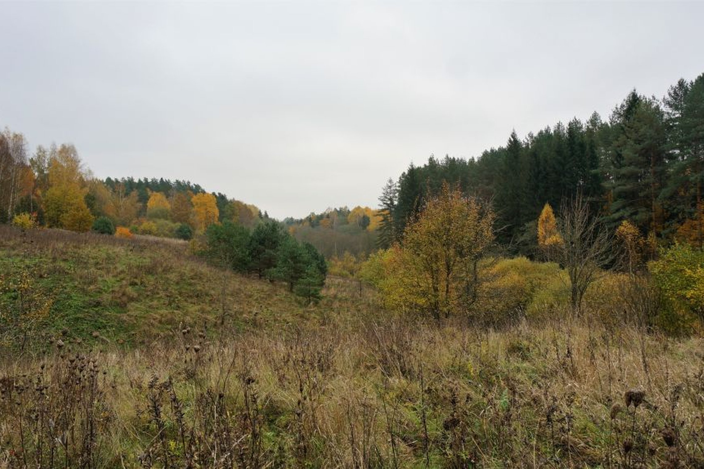 Iliustracija