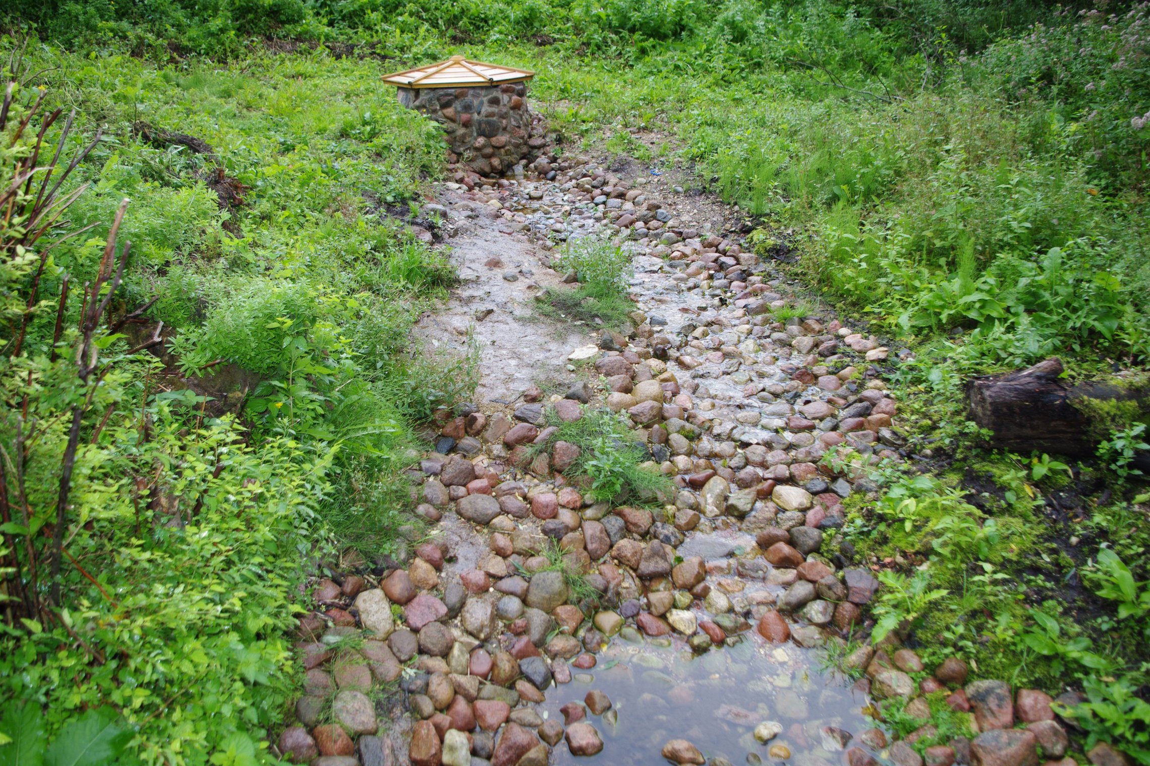 Iliustracija