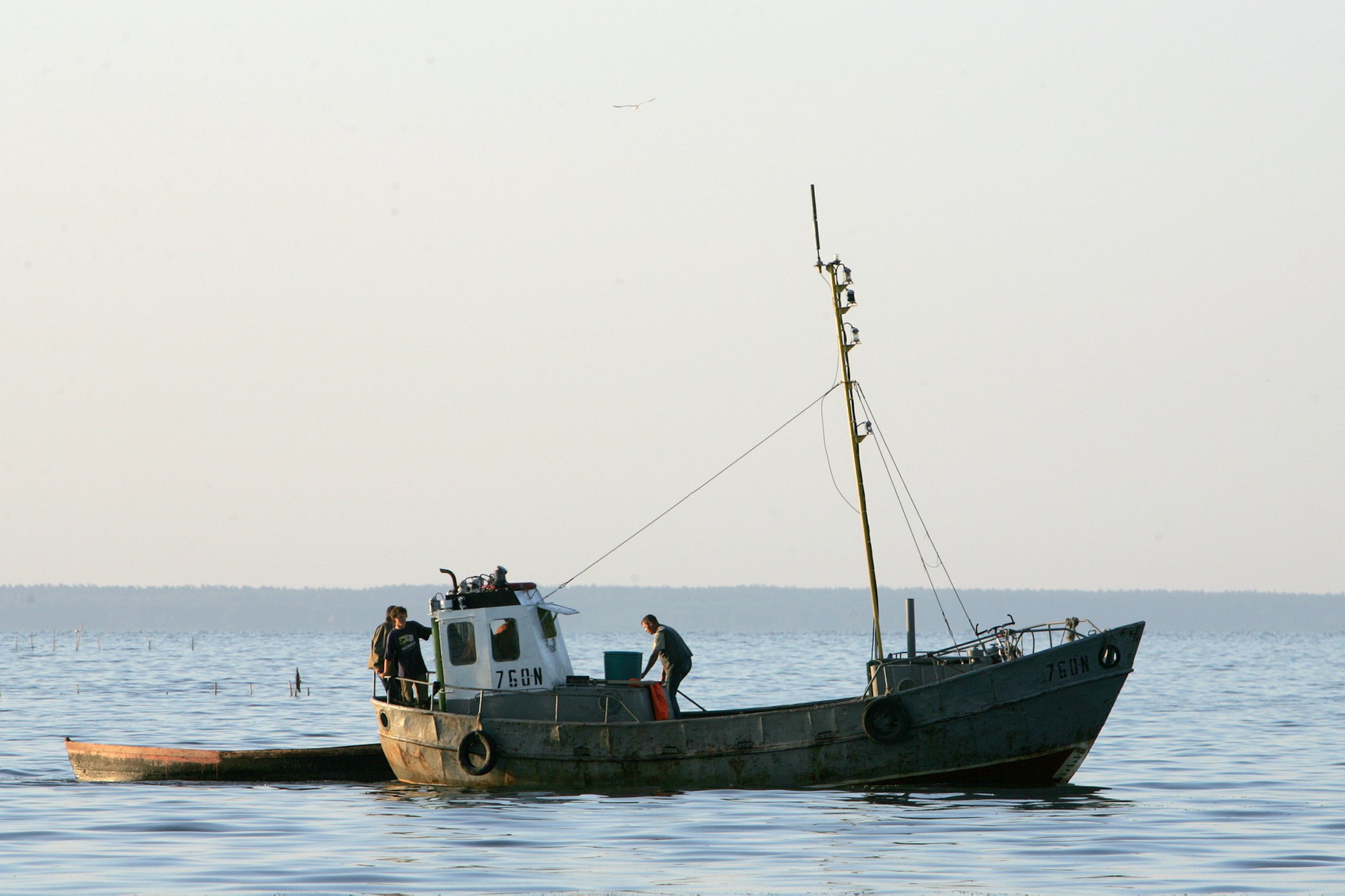 Iliustracija