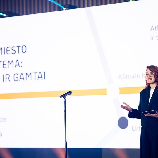 Iliustracija