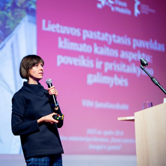 Iliustracija