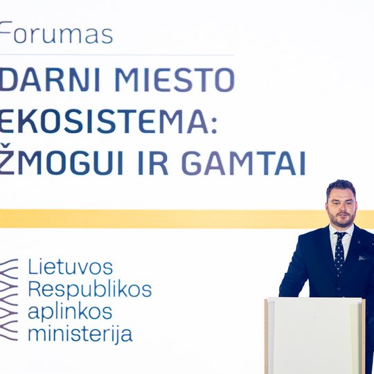 Iliustracija