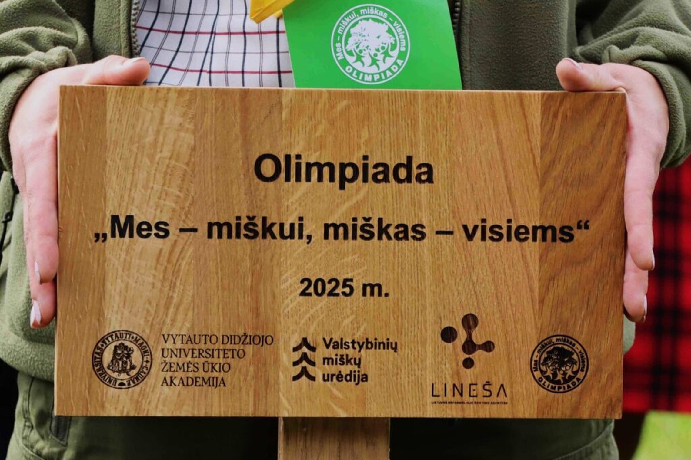 Iliustracija