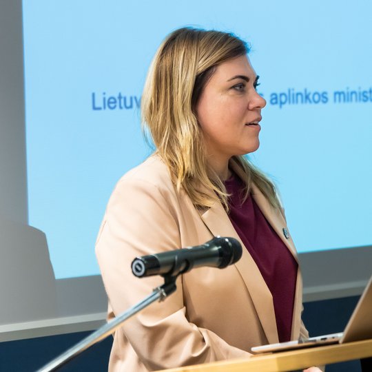 Iliustracija