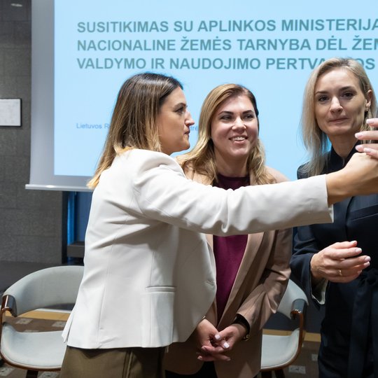 Iliustracija