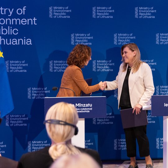 Iliustracija