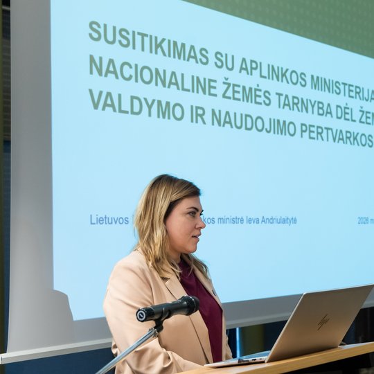Iliustracija