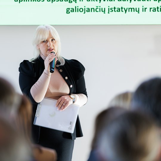Iliustracija