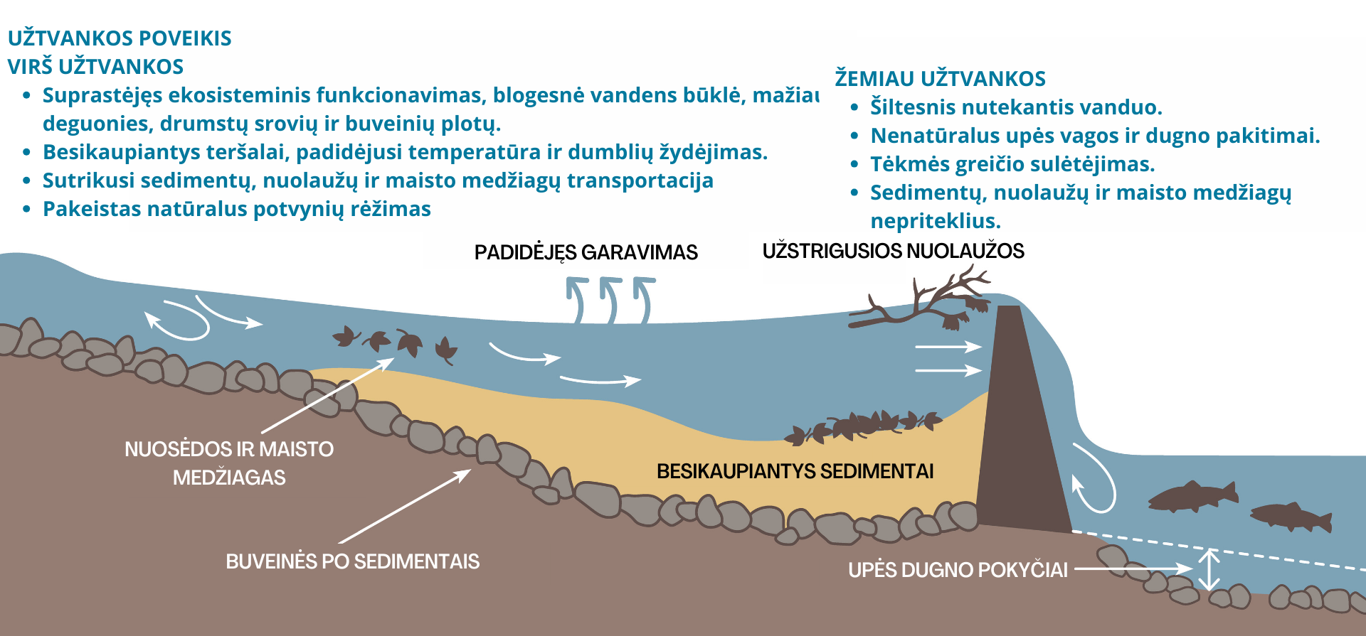 vizualas 2.png