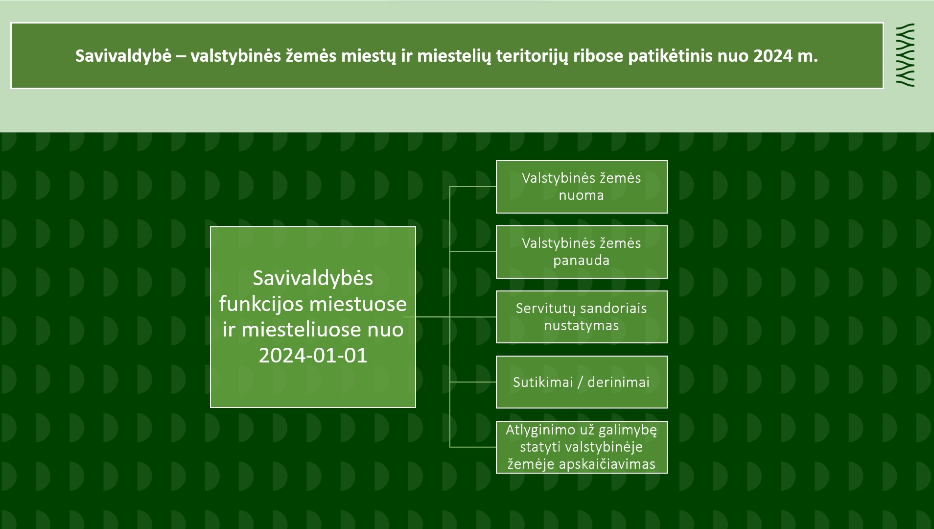Savivaldybė valstybinės žemės patikėtinis 2024.jpg