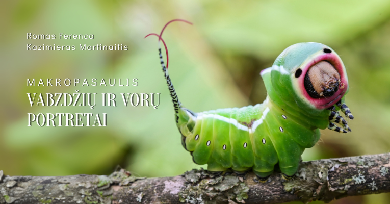 Makropasaulis (765 x 400 px) K_pilnas.png